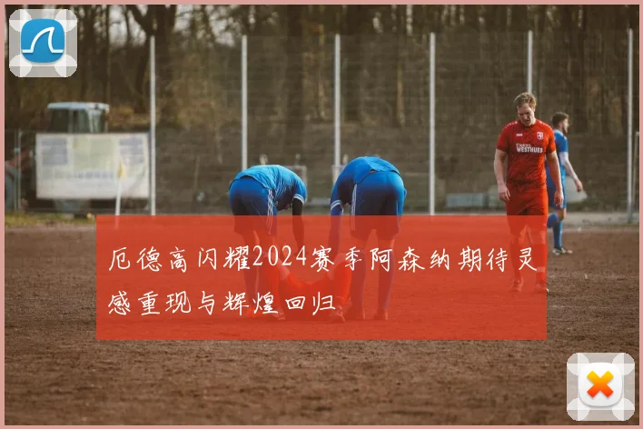 厄德高闪耀2024赛季阿森纳期待灵感重现与辉煌回归