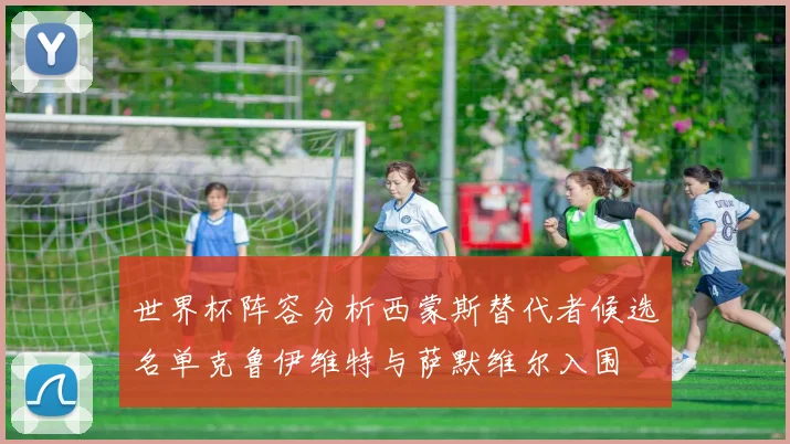 世界杯阵容分析西蒙斯替代者候选名单克鲁伊维特与萨默维尔入围